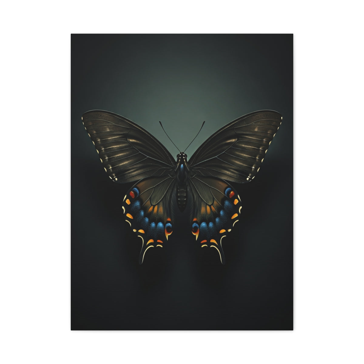 Midnight Swallowtail Butterfly with Jewel Wing Accents Wall Art & Canvas Prints