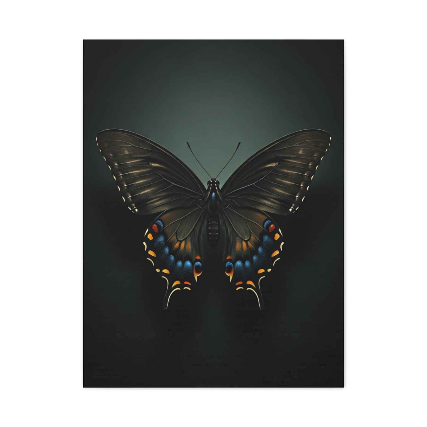 Midnight Swallowtail Butterfly with Jewel Wing Accents Wall Art & Canvas Prints