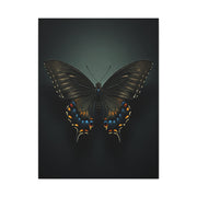 Midnight Swallowtail Butterfly with Jewel Wing Accents Wall Art & Canvas Prints