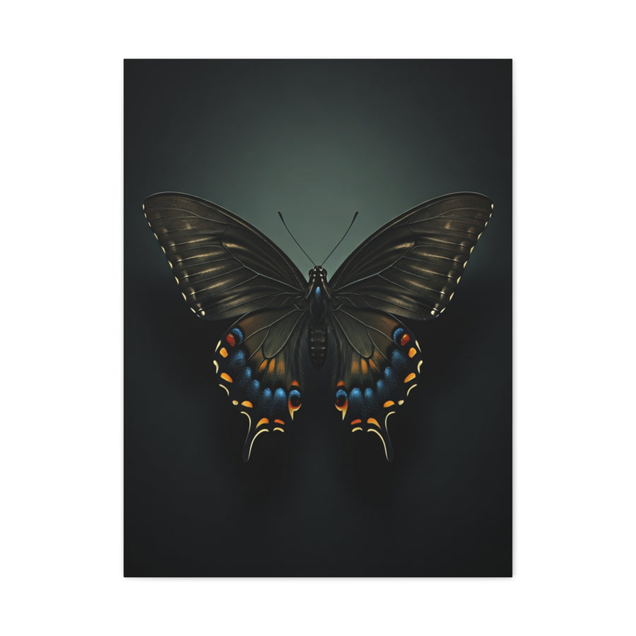 Midnight Swallowtail Butterfly with Jewel Wing Accents Wall Art & Canvas Prints