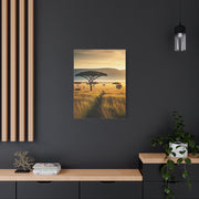 Golden Savannah Acacia Tree Horizon Wall Art & Canvas Prints
