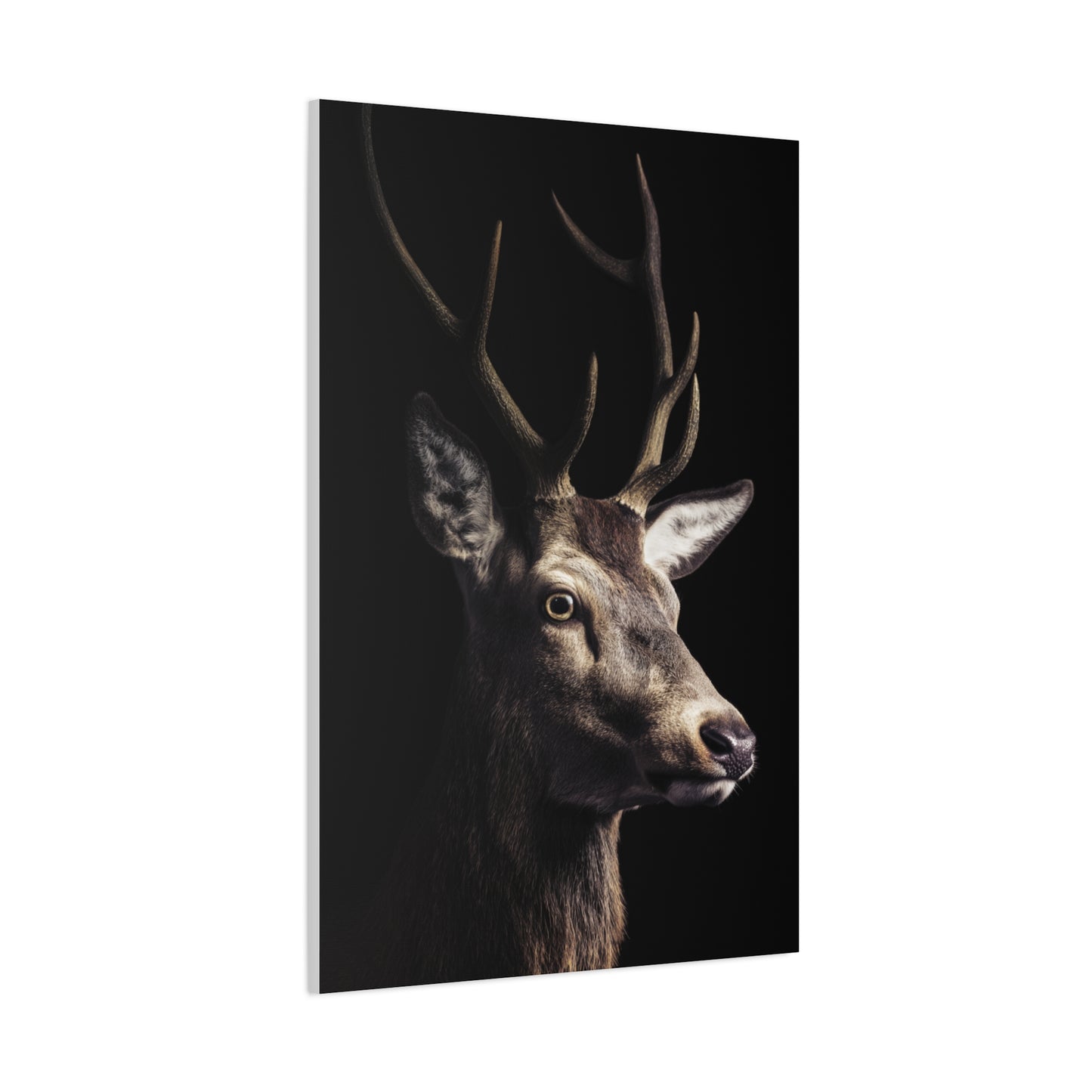 Shadowed Stag Minimal Portrait Wall Art & Canvas Print