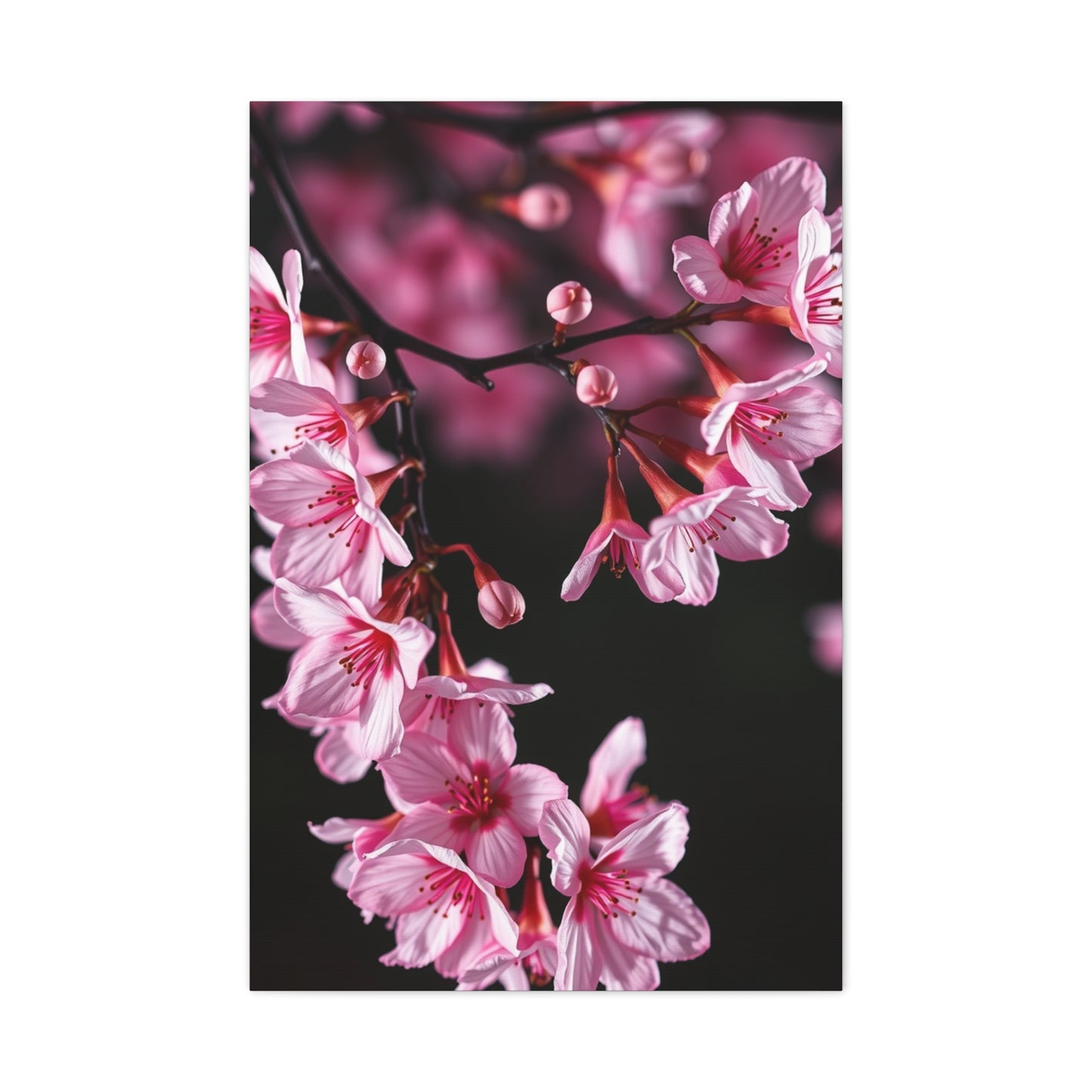 Supreme Cherry Blossom Wall Art Beautiful Collection Wall Art & Canvas Print