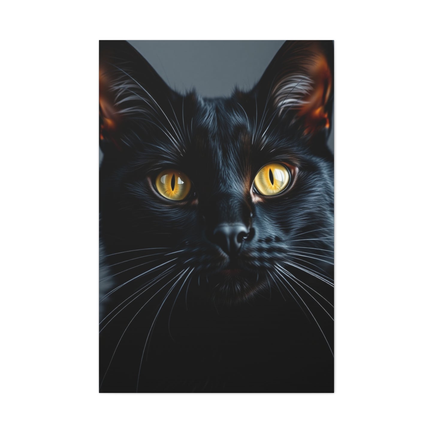 Supreme Black Cat Art Beautiful Collection Wall Art & Canvas Print