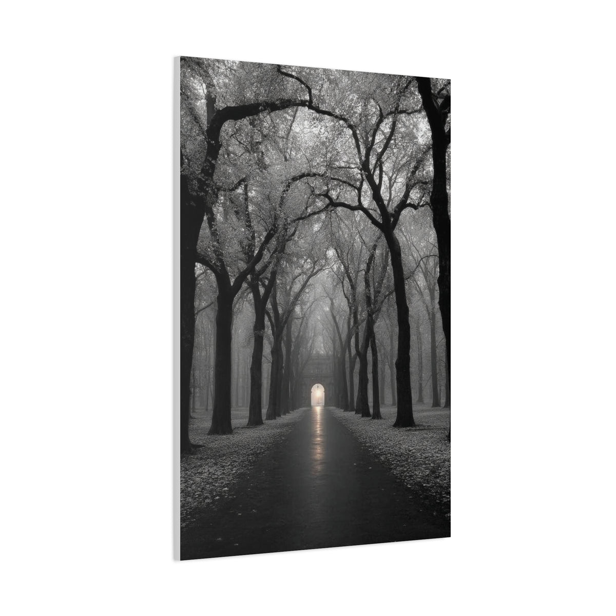 Misty Tree Avenue Monochrome Wall Art & Canvas Print