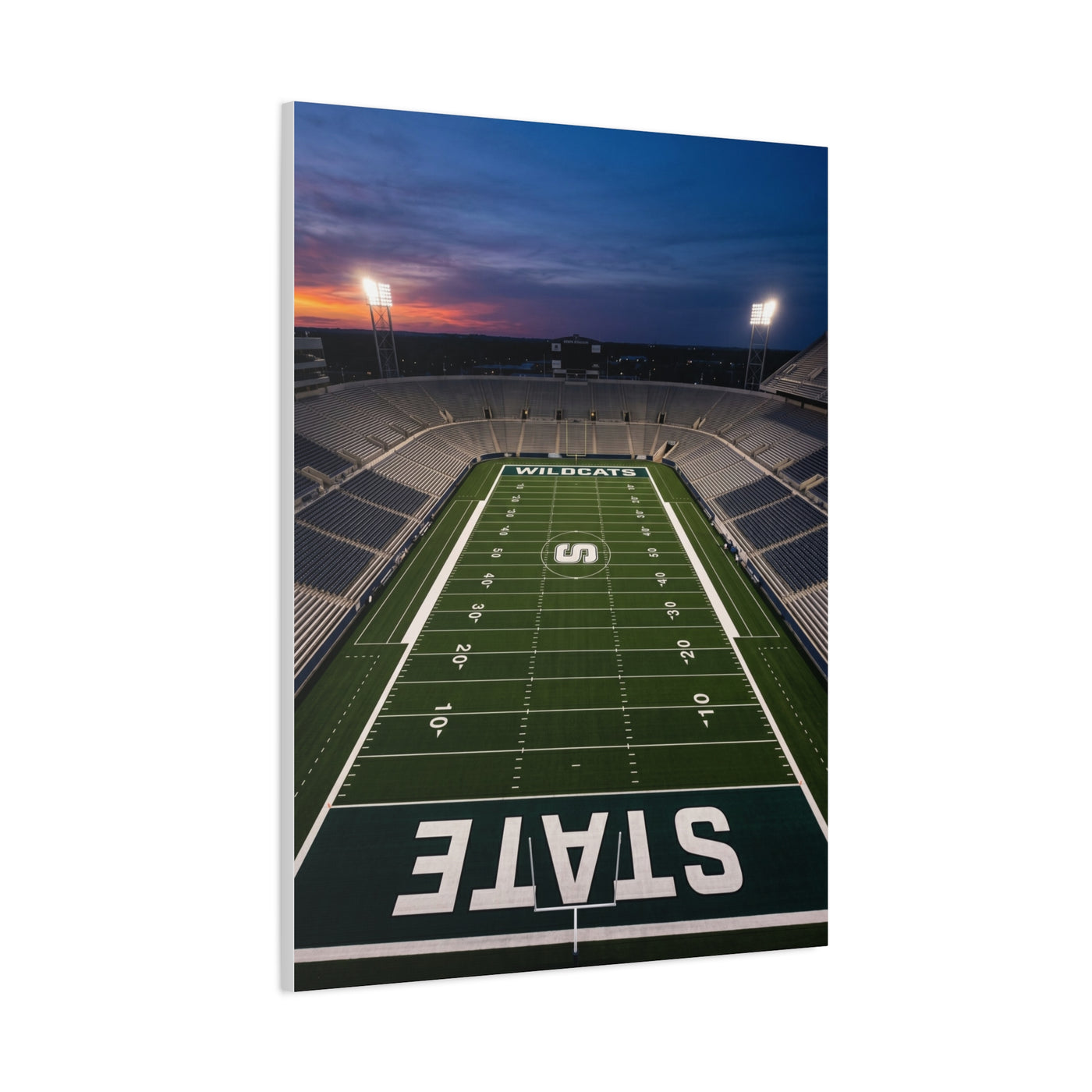 Stadium Under Lights Panorama Sports Wall Art & Canvas Print