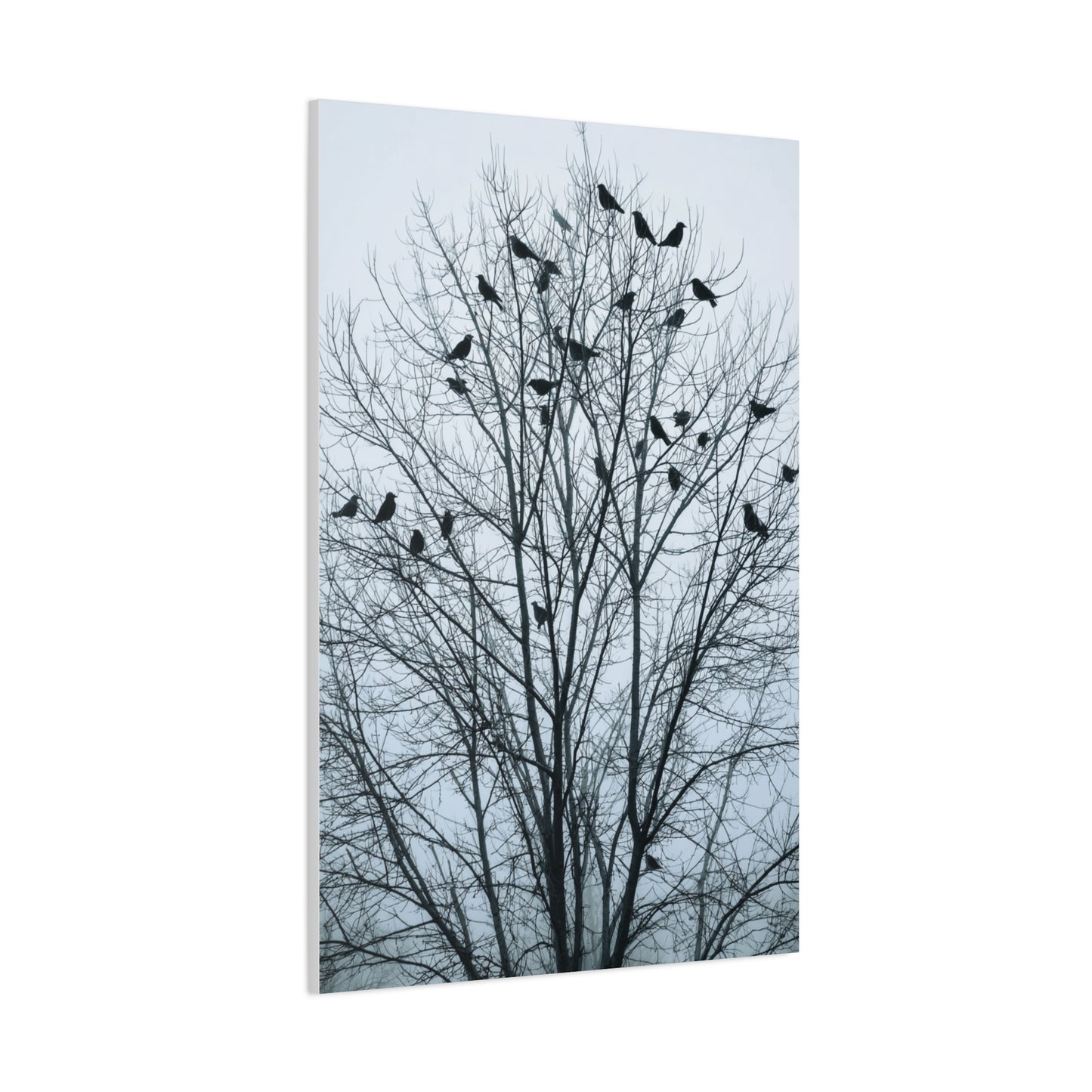 Tree of Crows Silhouette Wall Art & Canvas Print