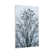 Tree of Crows Silhouette Wall Art & Canvas Print