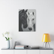 Intimate Dual Horse Monochrome Wall Art & Canvas Print