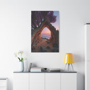 Driftwood Arch Coastal Sunset Wall Art & Canvas Print