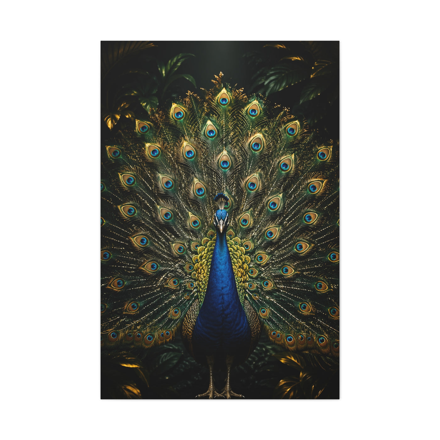 Opulent Jungle Peacock Display Wall Art & Canvas Print