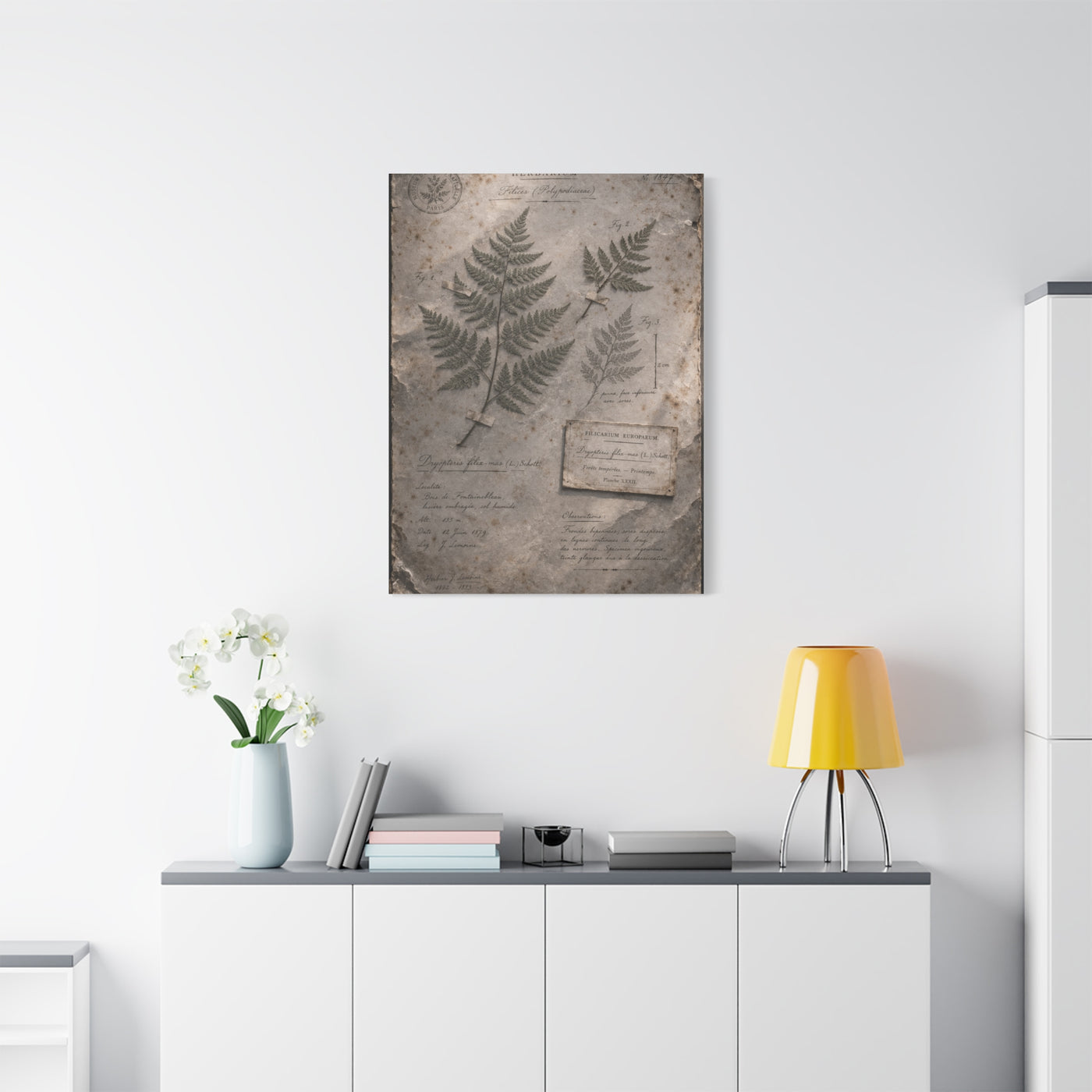 Antique Fern Herbarium Archive Wall Art & Canvas Print