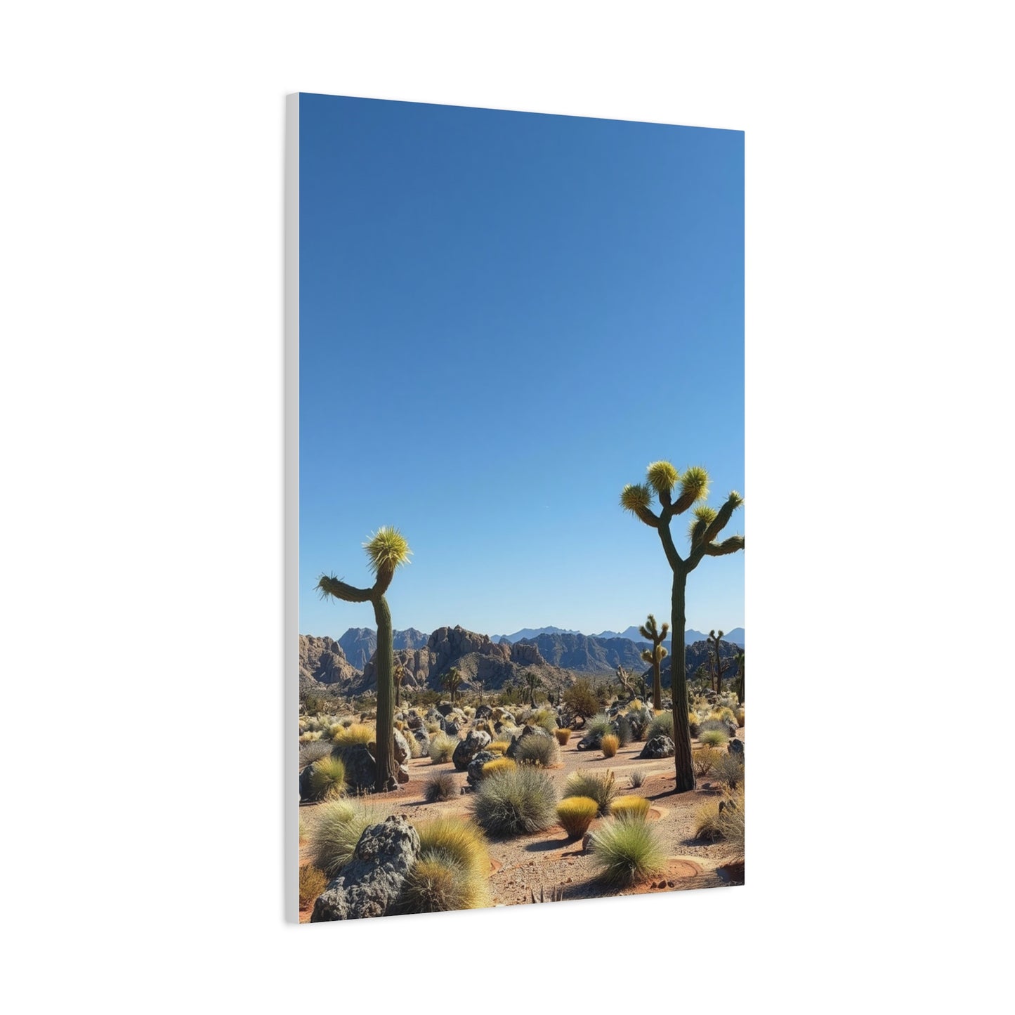 Vision Joshua Tree National Park Art Art Wall Art & Canvas Print