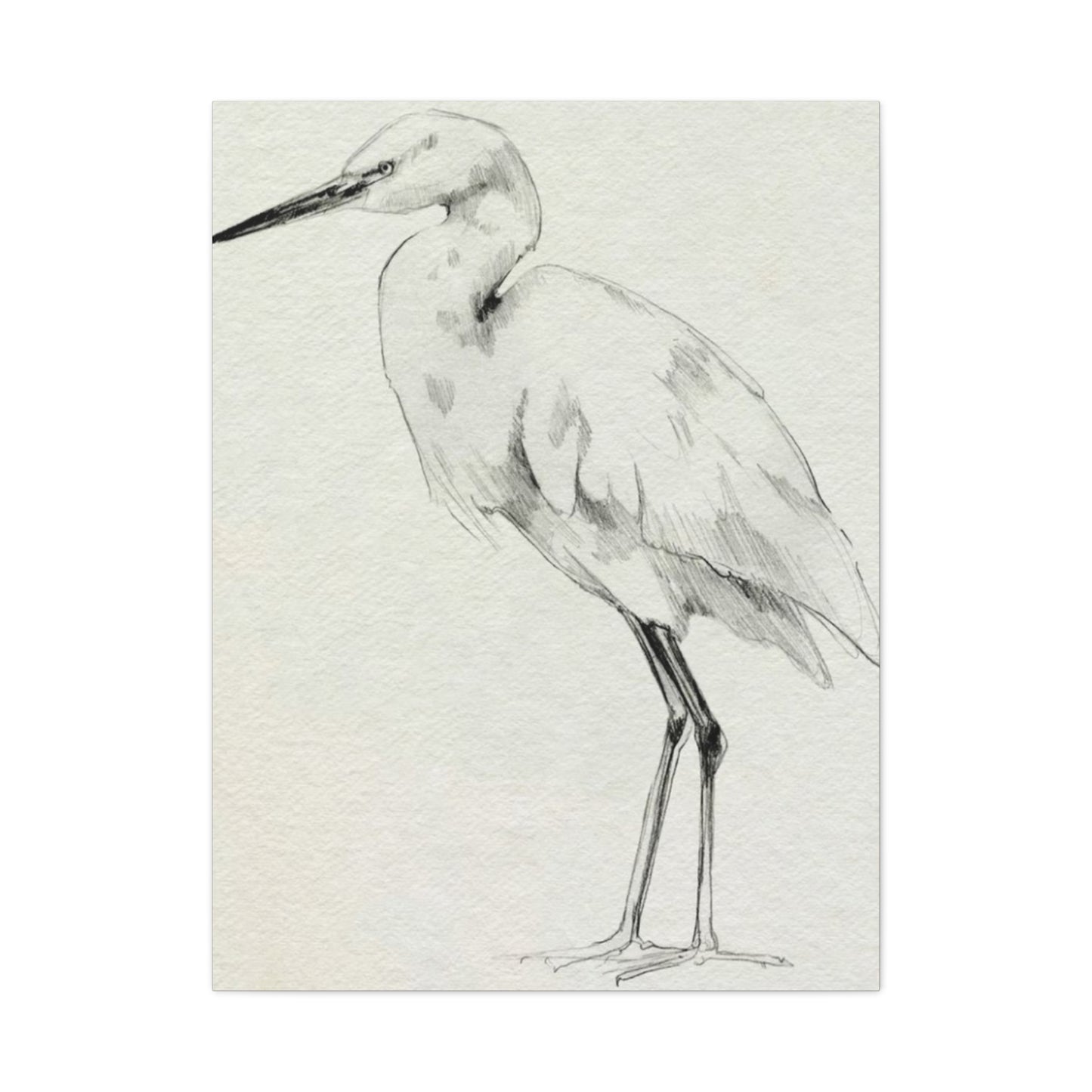 Herons Drawing Wall Art & Canvas Prints