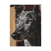 Minimalist Whippet Portrait Wall Art & Canvas Print