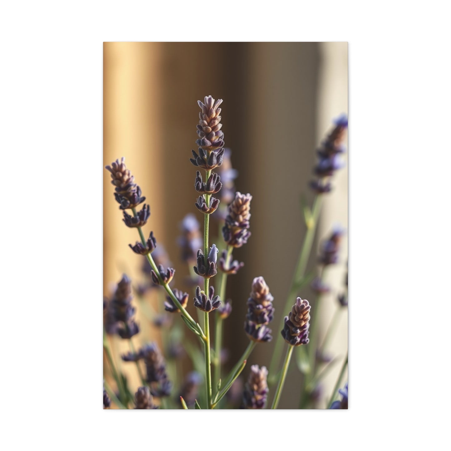 Lavender Herb Art Supreme Canvas Wall Art & Canvas Print