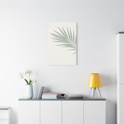 Soft Palm Frond Shadow Minimal Wall Art & Canvas Prints