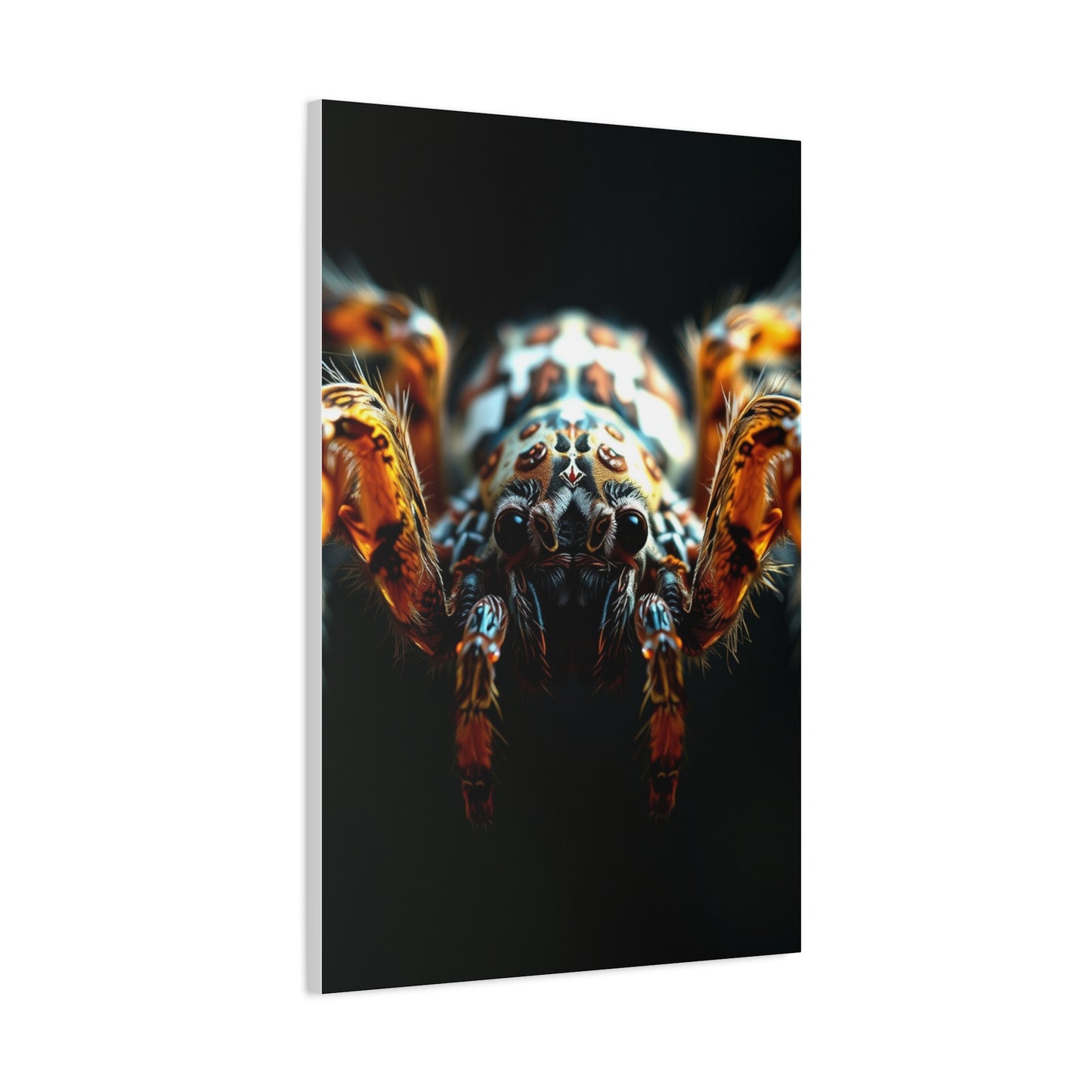 Arachnid Elegance Canvas Wall Art & Canvas Print
