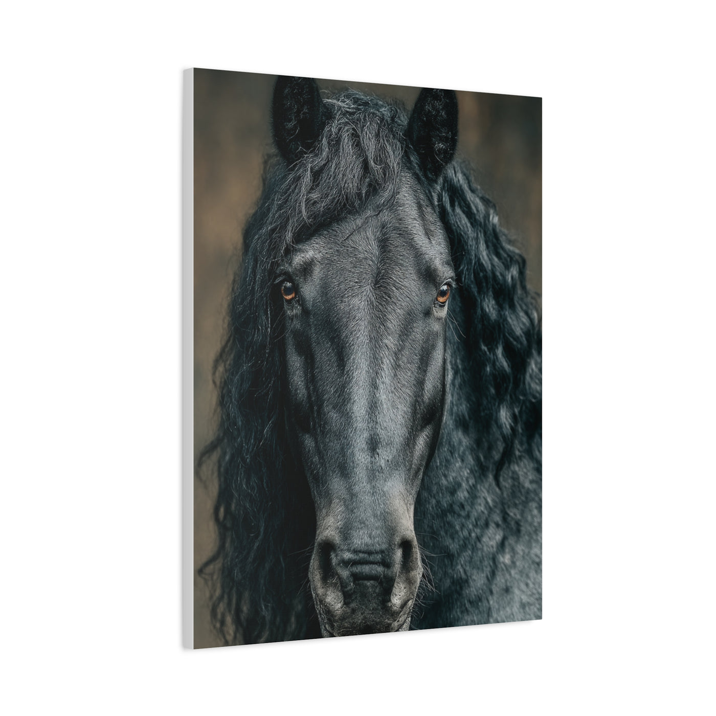 Black Horse Frontal Portrait Wall Art & Canvas Print