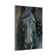 Black Horse Frontal Portrait Wall Art & Canvas Print