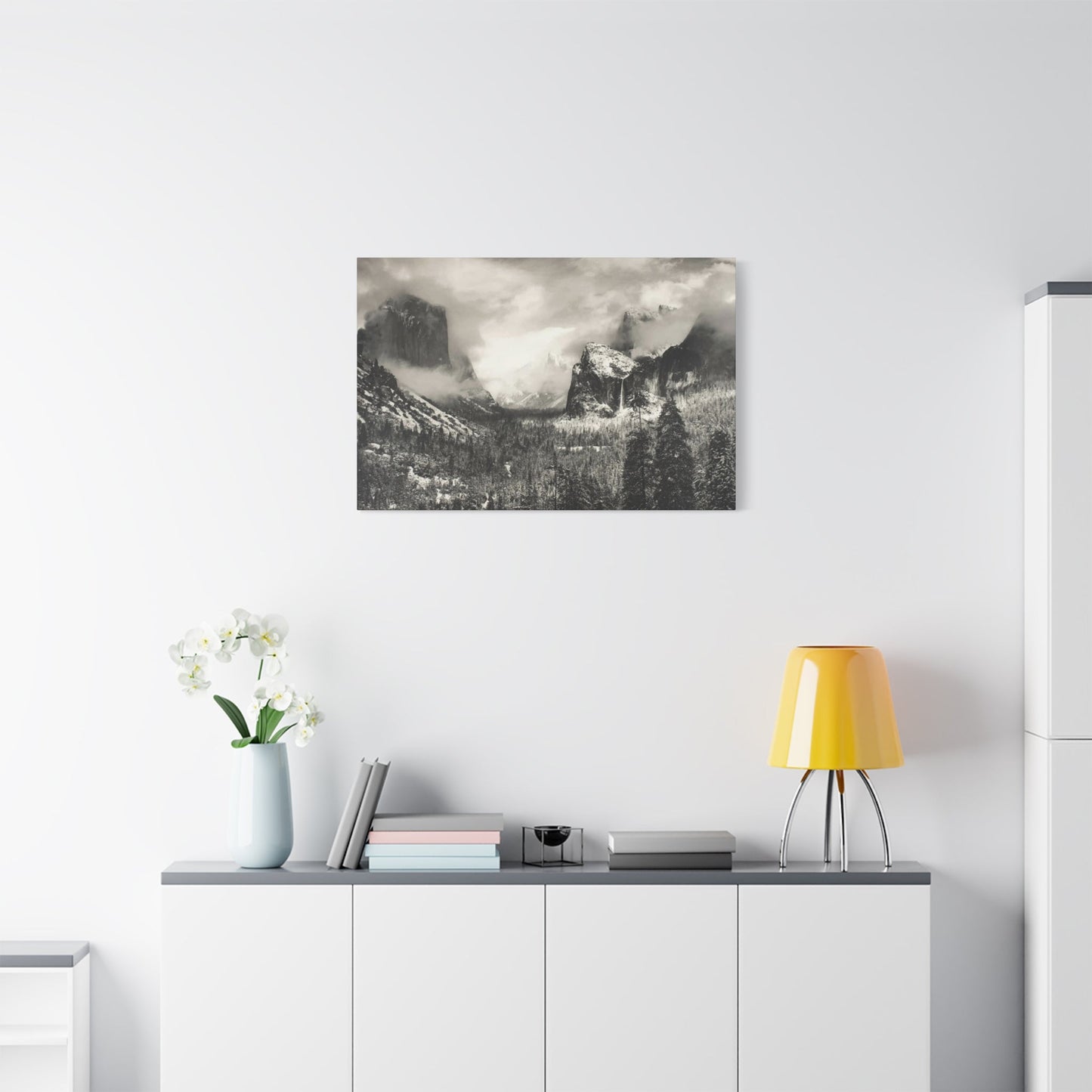Ansel Wall Art & Canvas Prints
