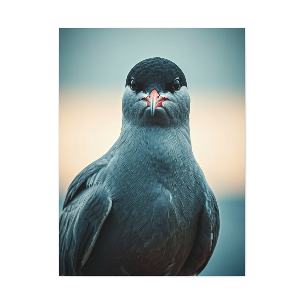 Arctic Tern Portrait Wall Art & Canvas Prints