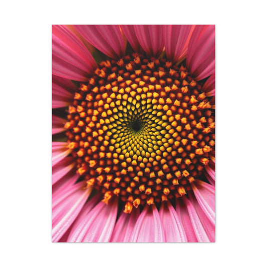 Gilded Daisy Panorama