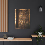 Wrought Iron Shutter Study Wall Art & Canvas Print