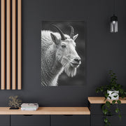 Alpine Goat Portrait Wall Art & Canvas Prints