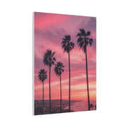 Pink Sunset Palm Coast Wall Art & Canvas Print