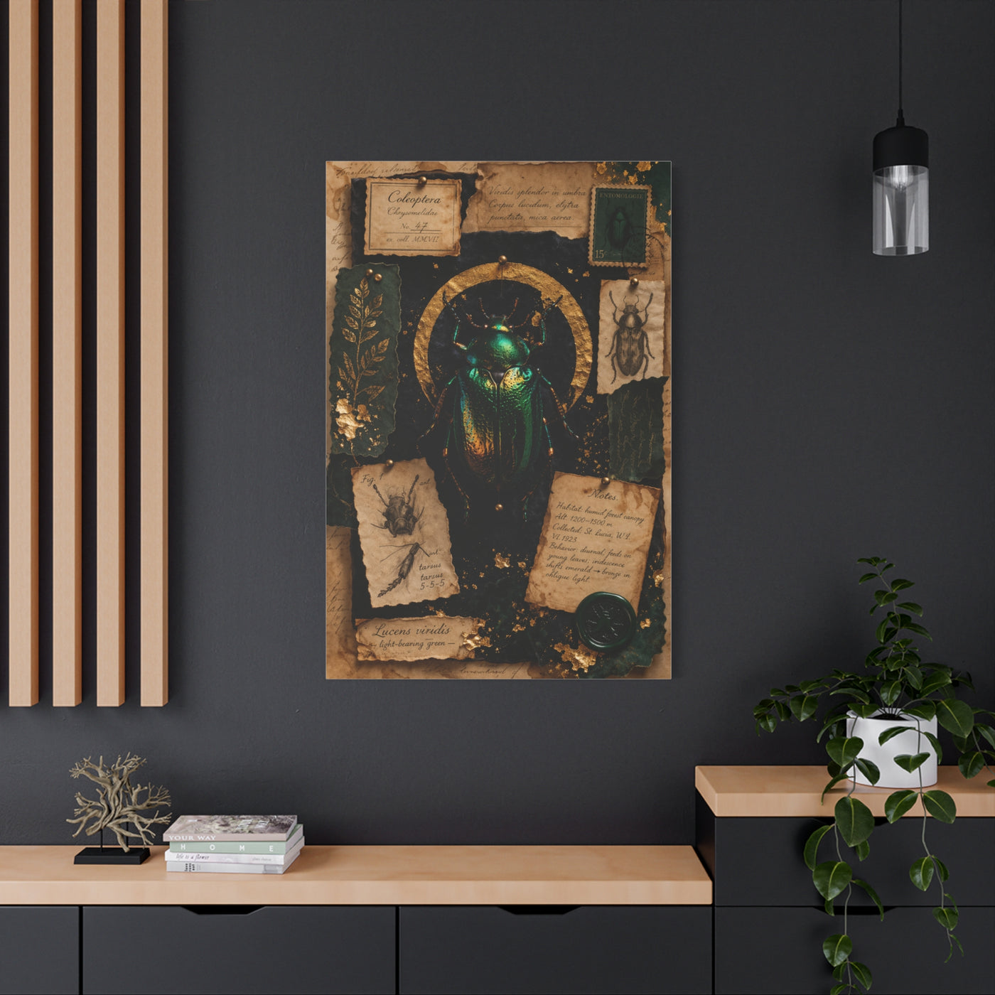 Cabinet of Curiosities Insect Study Wall Art & Canvas Print