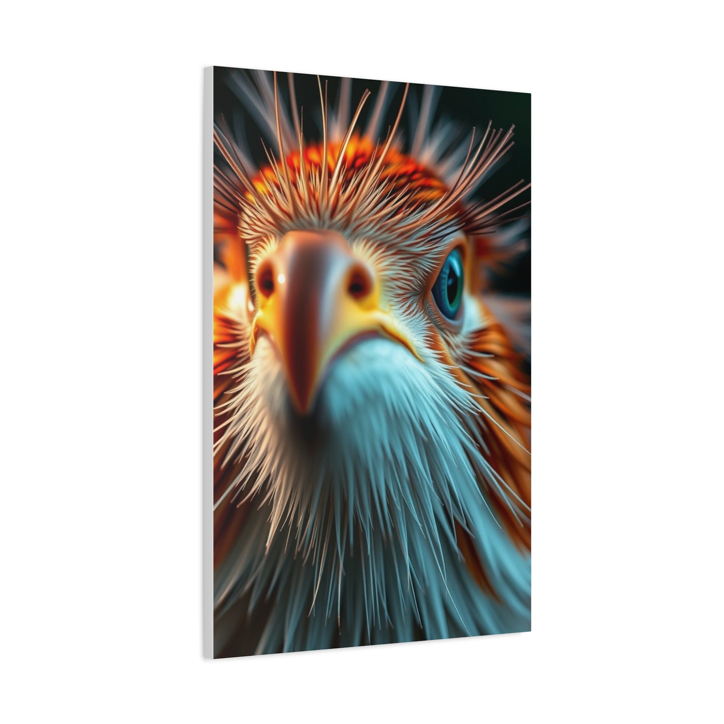 Supreme Nature Closeups Art Beautiful Collection Wall Art & Canvas Print