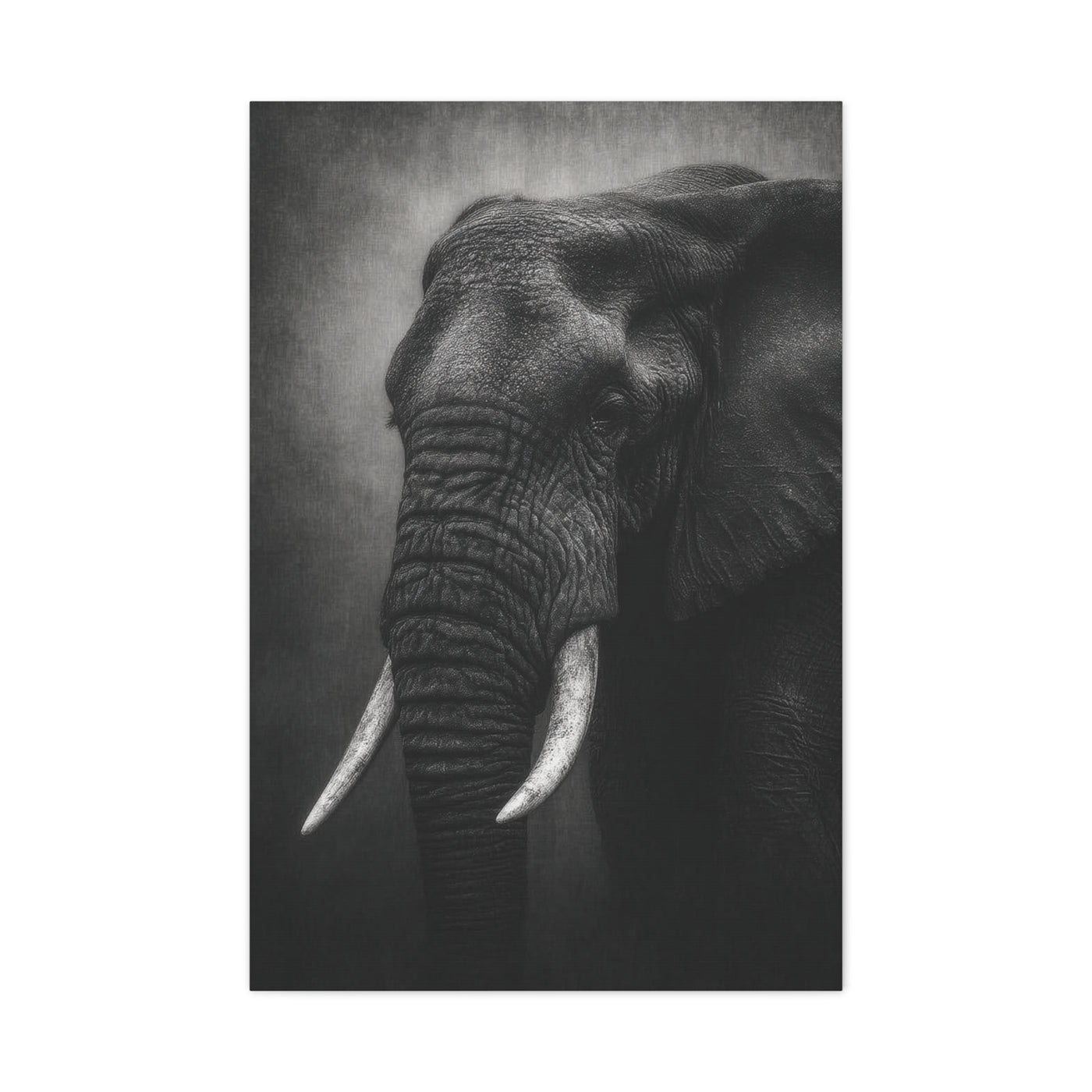 Monochrome Elephant Fine Art Portrait Wall Art & Canvas Print