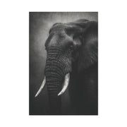 Monochrome Elephant Fine Art Portrait Wall Art & Canvas Print