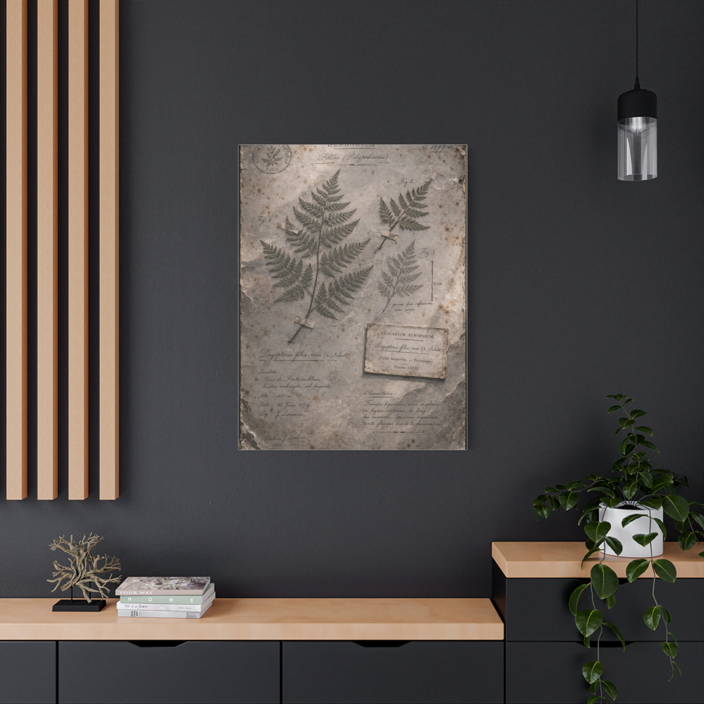 Antique Fern Herbarium Archive Wall Art & Canvas Print