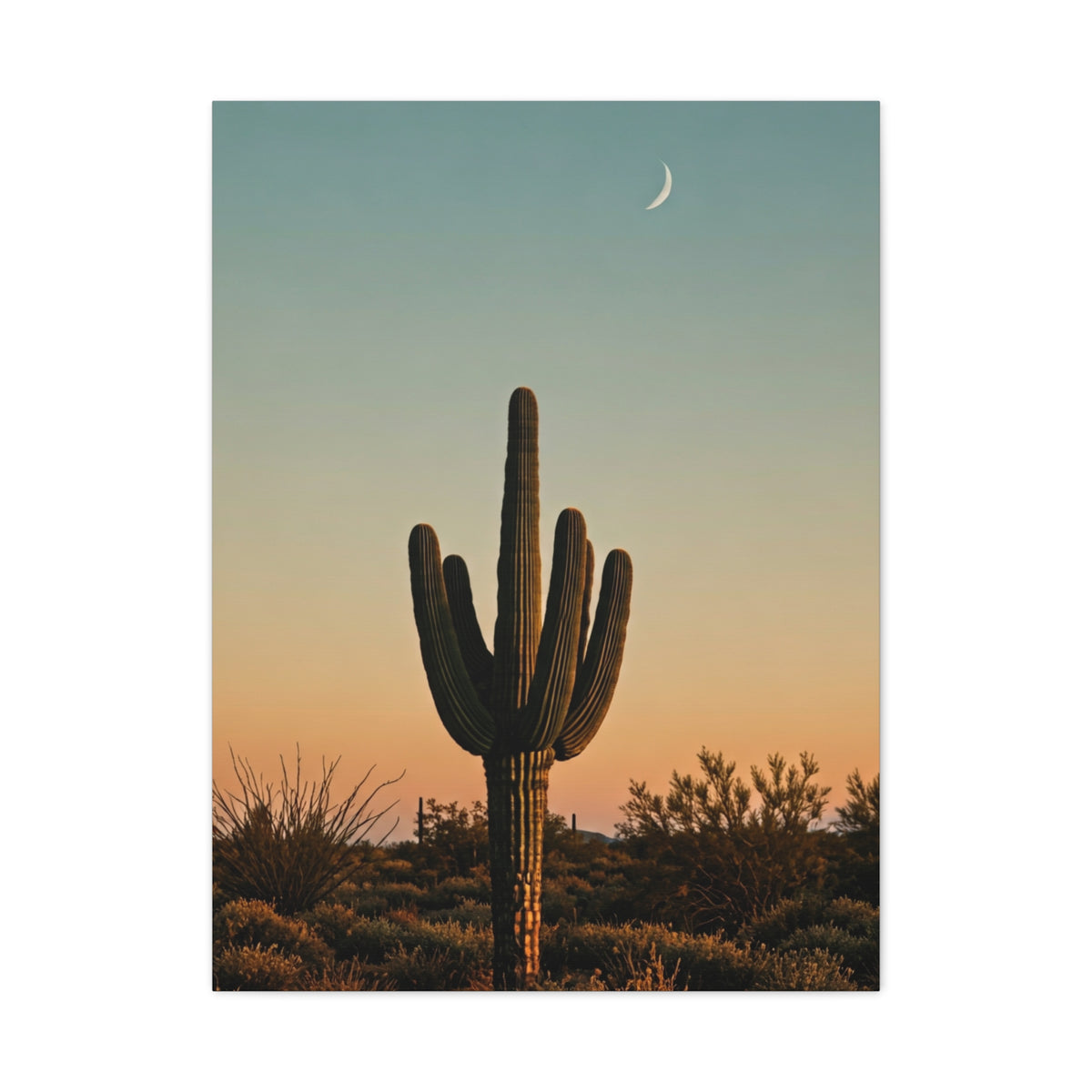 Solitary Saguaro Under Open Desert Sky Wall Art & Canvas Prints