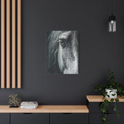 Horse Eye Intimate Monochrome Wall Art & Canvas Print