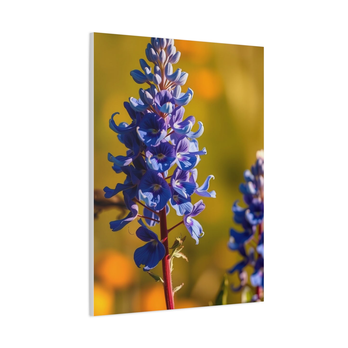 Bluebonnet Flower Art Luxury Canvas Wall Art & Canvas Print