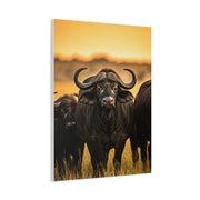 Buffalo Herd in Golden African Sunset Wall Art & Canvas Print