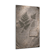 Antique Fern Herbarium Archive Wall Art & Canvas Print