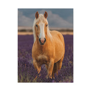 Palomino in Lavender Field Wall Art & Canvas Print