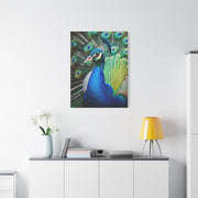 Vibrant Peacock Portrait Wall Art & Canvas Prints