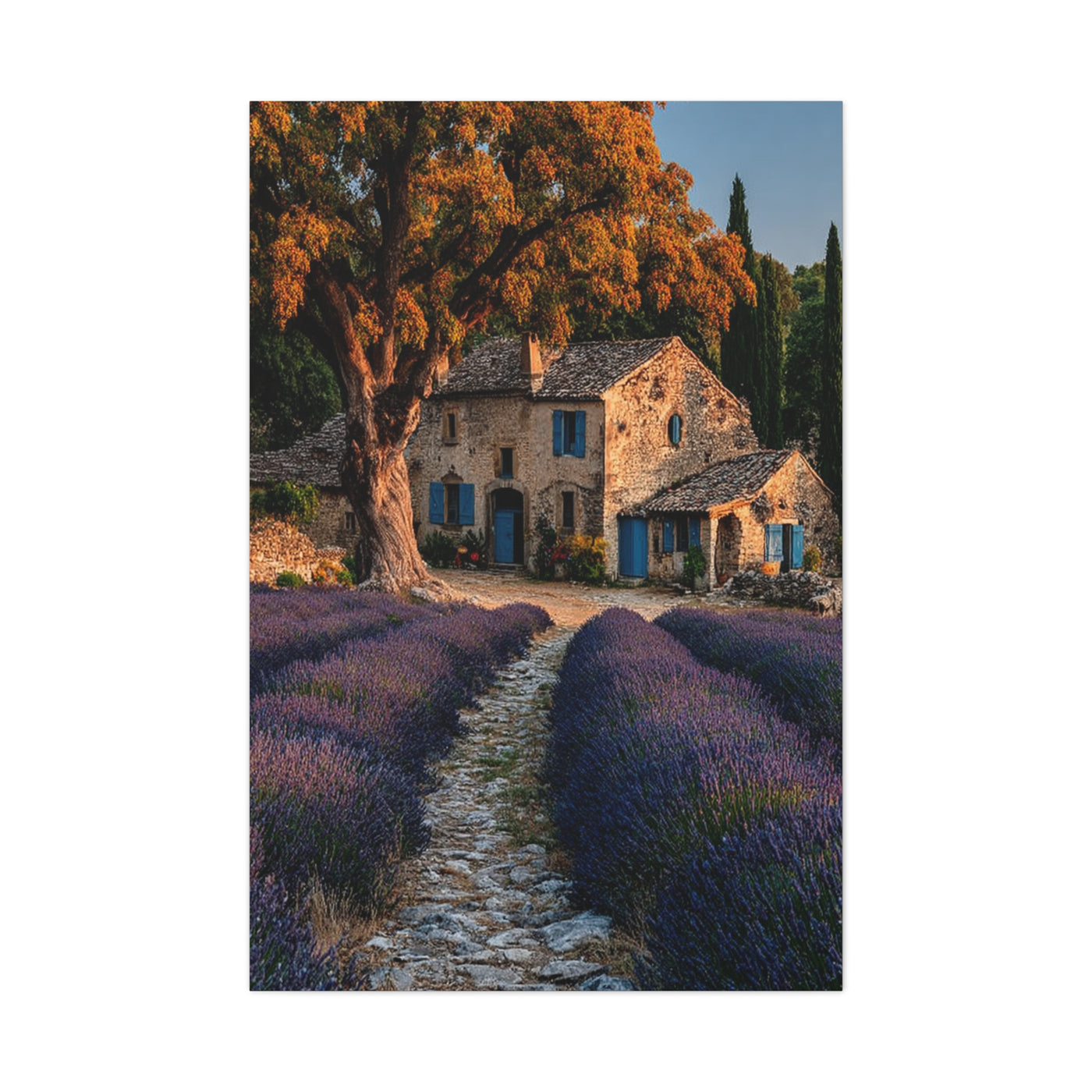 Lavender Field Farmhouse Provence Wall Art & Canvas Print