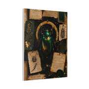 Cabinet of Curiosities Insect Study Wall Art & Canvas Print
