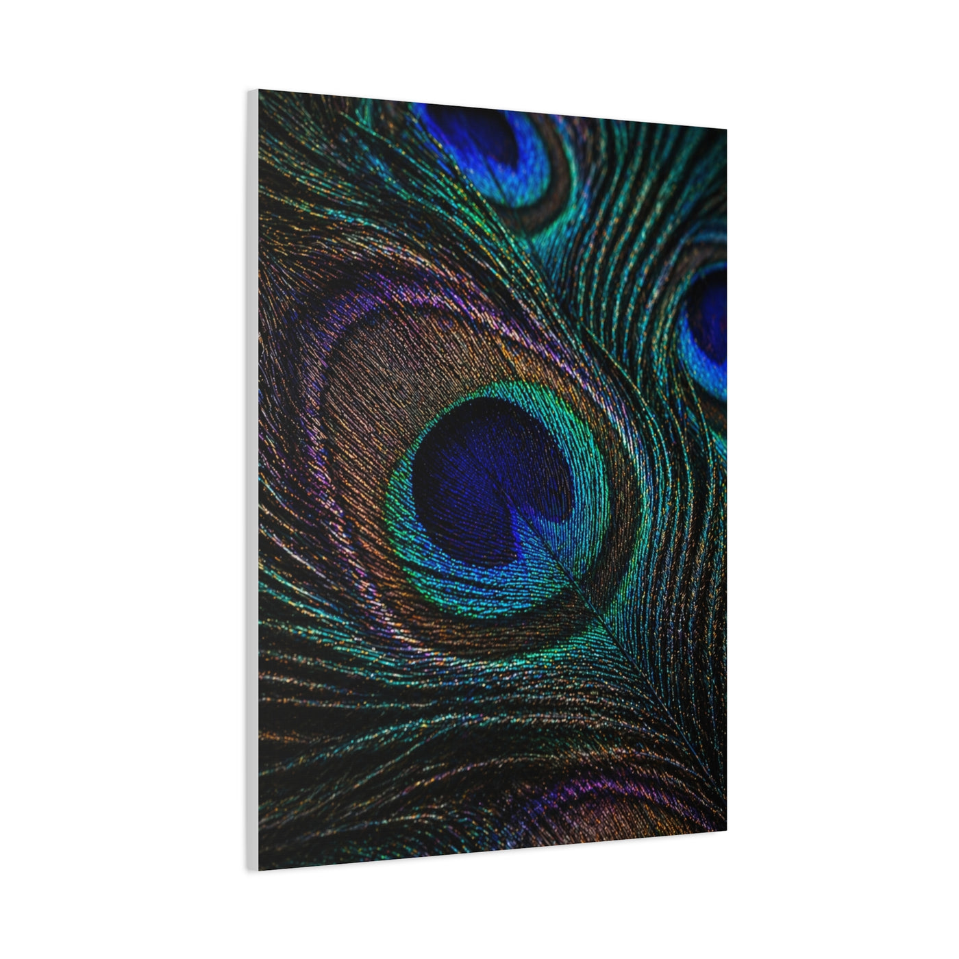 Macro Iridescent Peacock Feather Wall Art & Canvas Print