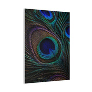 Macro Iridescent Peacock Feather Wall Art & Canvas Print