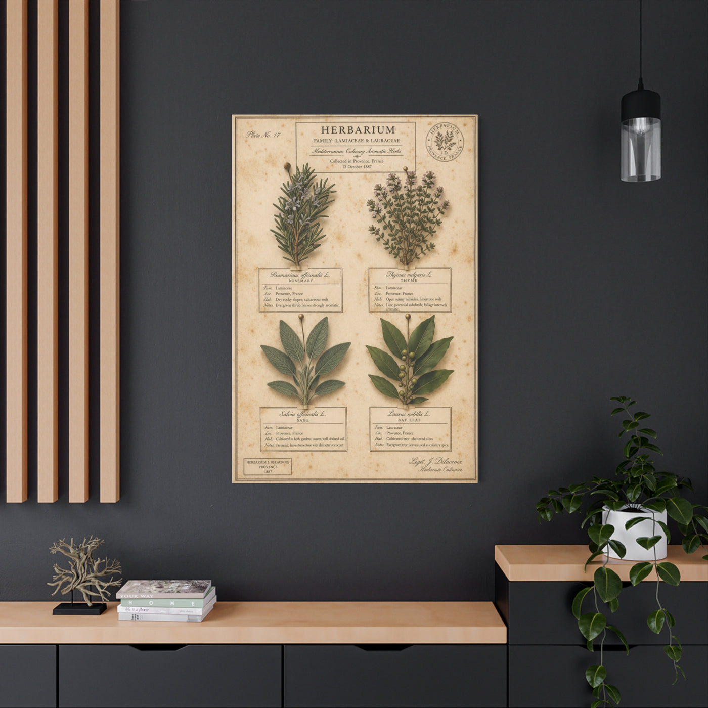 Vintage Herbarium Culinary Study Wall Art & Canvas Print