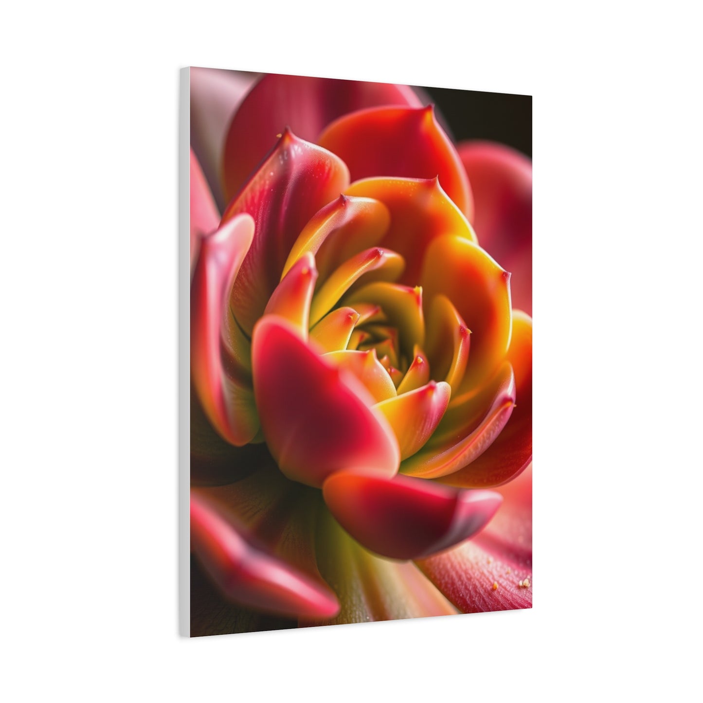 Supreme Succulent Art Beautiful Collection Wall Art & Canvas Print