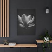 Magnolia Blossom Serenity Monochrome Wall Art & Canvas Prints