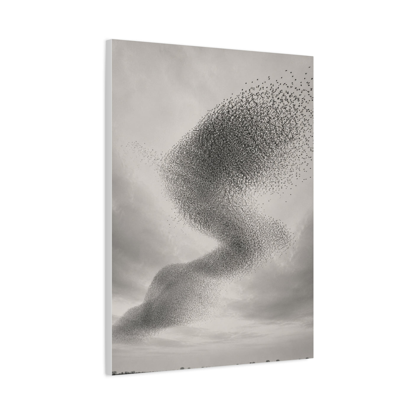 Murmuration Love Formation Monochrome Wall Art & Canvas Print
